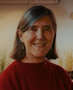 Dominique Van Der Straeten